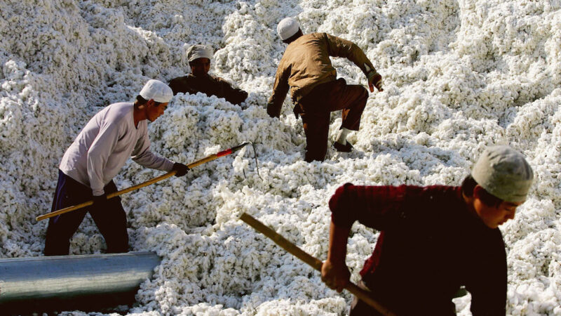 美國宣布禁止進口新疆棉花紡織品等一系列商品