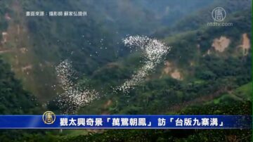 觀太興奇景「萬鷺朝鳳」 訪「台版九寨溝」祕境