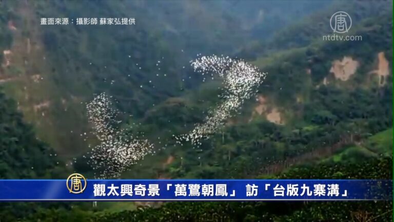觀太興奇景「萬鷺朝鳳」 訪「台版九寨溝」秘境