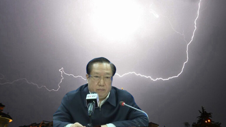 湖北省長王曉東神祕「失蹤」傳是曾慶紅馬仔