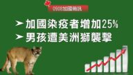 2020.09.08【加國簡訊】