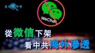 【慧月瞰今昔】从微信下架风波 看中共海外渗透
