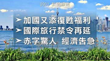 2020.09.01【新聞綜述】