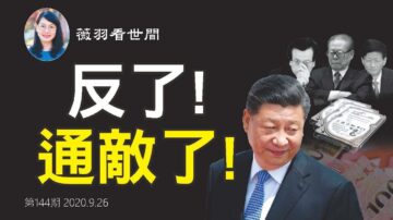 【薇羽看世间】朱慧民被查，习近平夺钱袋子