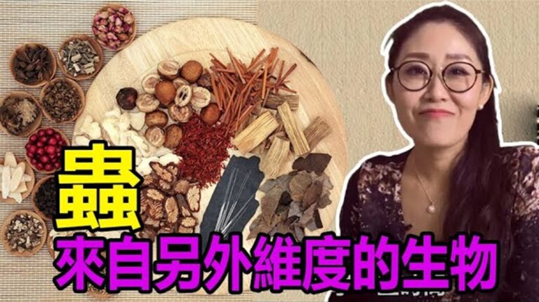 駭人！服藥後他竟然瀉出了七條青蛇！神奇的中醫治蟲術