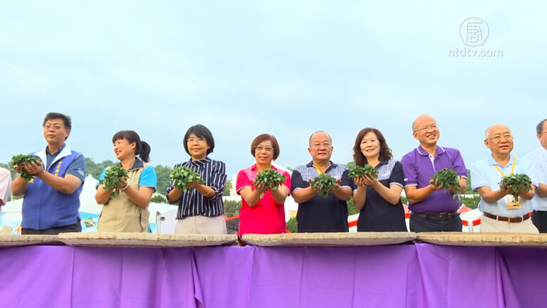 南投茶博會千人揉茶 小小泡茶師體驗茶文化