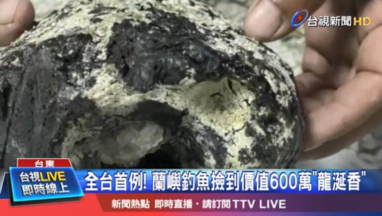 蘭嶼男子撿到寶 「黑石頭」散發香味鑑定是龍涎香