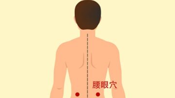 经常按摩五大穴位 腰痛不再来