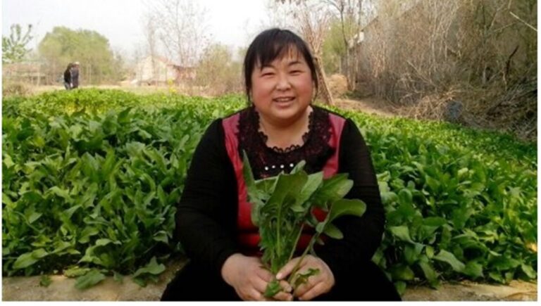 中共為何強行火化他們的遺體（15）