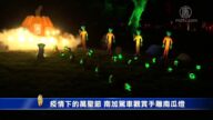 疫情下的萬聖節 南加駕車觀賞手雕南瓜燈