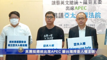 民团挺总统亲自出席APEC 表达台湾捍卫人权主张