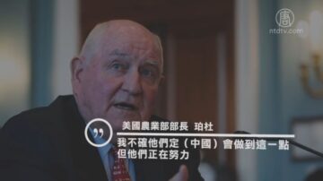 美农业部长：中国或无法兑现购买农产品承诺