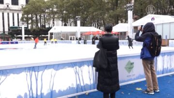 紐約布萊恩公園冬季村蕭條 場面冷清