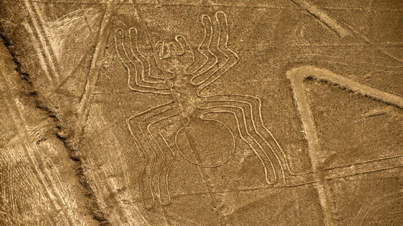 驚見2000多年前「巨貓」 納斯卡線再現神秘地畫