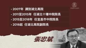 任職司法系統多年 湖北高院副院長「自縊身亡」