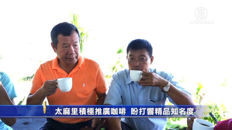 太麻里積極推廣咖啡 盼打響精品咖啡知名度