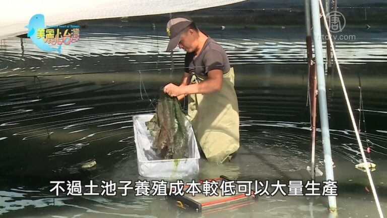 美麗心台灣：用心的人 用心的產業