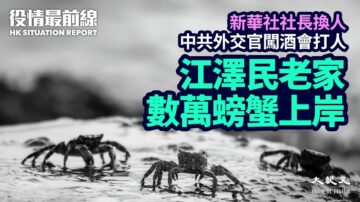 【役情最前線】江澤民老家數萬螃蟹密集上岸