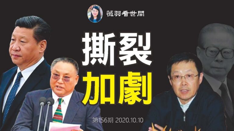 【薇羽看世間】習抓董宏 查中國殘聯 中共權貴大決裂？