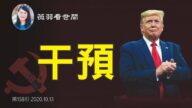 【薇羽看世间】美国大选背后的中共黑手