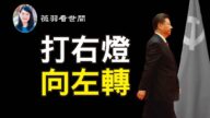 【薇羽看世间】习近平南巡谈改革 走入死胡同