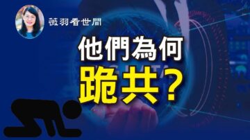 【薇羽看世間】數據！ 高科技公司和社交媒體為何跪共？