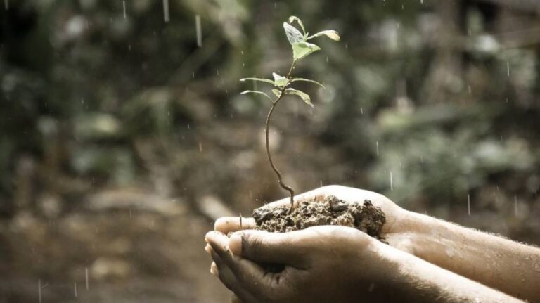 植物也會「說話」？！ 植物遠比我們想像中還要聰明