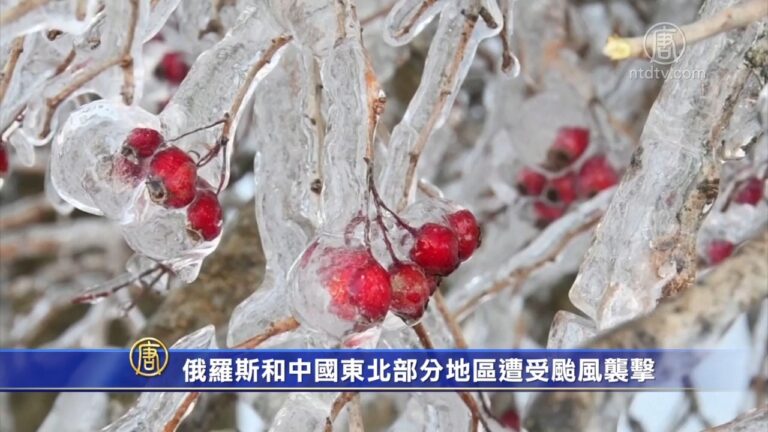 11月22日國際新聞簡訊