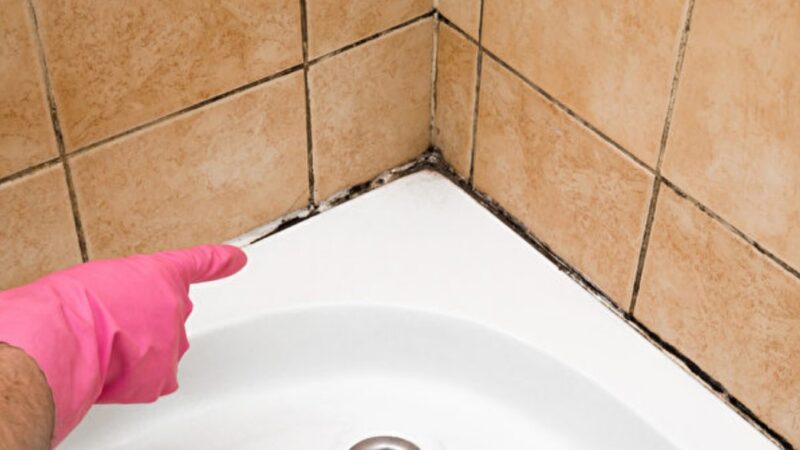 浴室、廚房是黴菌最喜歡的地方 3妙方除霉