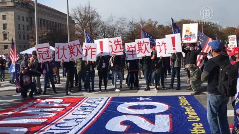 华府“停止窃选”集会 亚裔民众支持川普