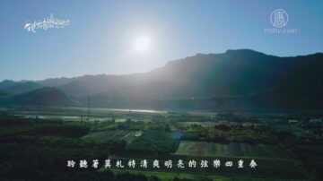 【我的音乐想想】黄花忘忧在东岸