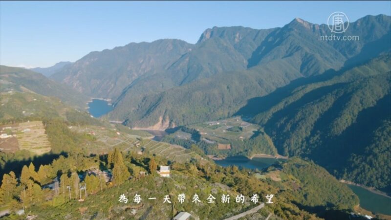 【我的音乐想想】晨光茶稻照山幕