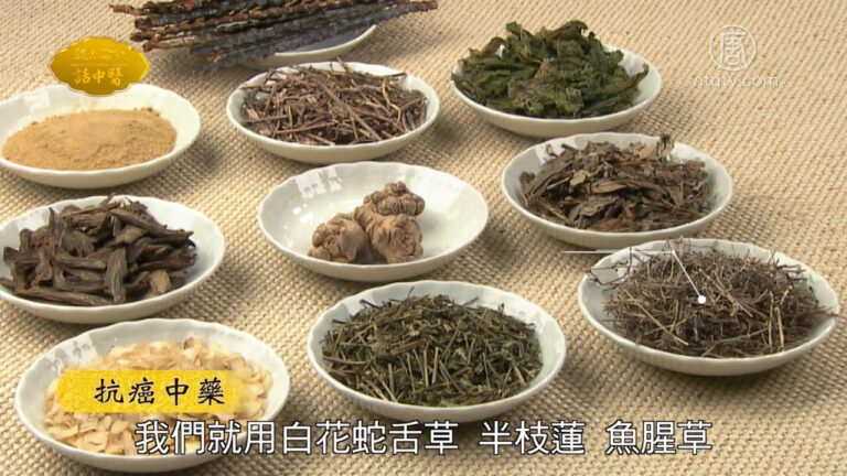 談古論今話中醫：癌症的中醫治療與調養
