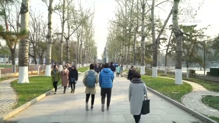 感恩節阿姨送糖 哈工大學生威脅舉報惹議