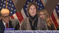 鲍威尔：拜登假票至少1000万 死人票300万