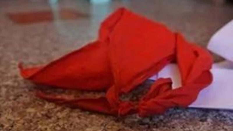 红领巾再夺一命 四川官方证实小学生被勒死