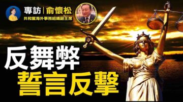 【热点互动】专访共和党委员：川普法律诉讼