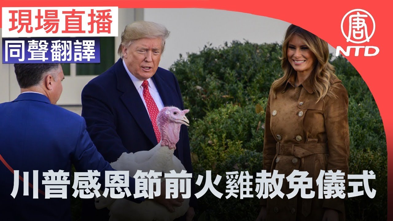 現場直播「川普總統及夫人在感恩節前舉行火鷄赦免儀式」。(新唐人合成)