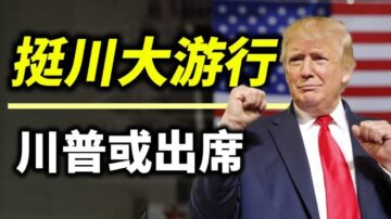 【天亮時分】聯邦選舉委員會主席：非法選舉