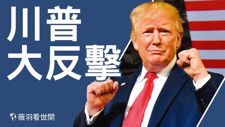 【薇羽看世間】舞弊嚴重 川普大反擊