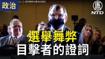 【宾州公听会 直播片段三】选举舞弊目击者的证词