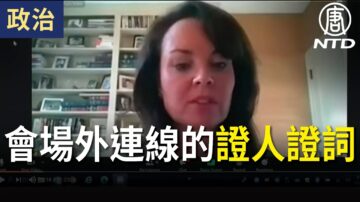 【宾州公听会 直播片段四】选举舞弊听证会 场外连线的证人证词（中文同声翻译）