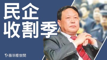 【薇羽看世間】中共沒錢了？民企收割季到來