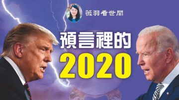 【薇羽看世间】美国最准的女预言家怎样预言2020年？