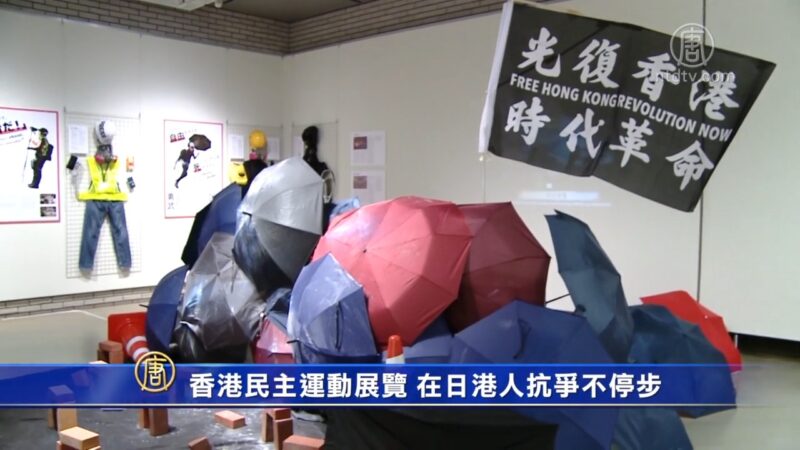 香港民主运动展览 在日港人抗争不停步