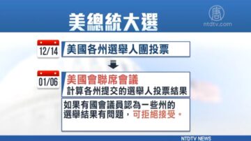 美宪法仅提及1.20就职日！国会或挑战摇摆州选举人