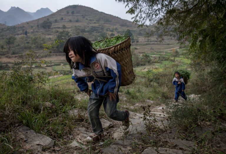 北理工教授：中國還有好幾億貧窮人口
