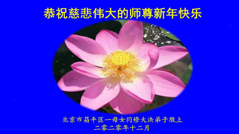 北京大法弟子恭祝师尊新年好(29条)