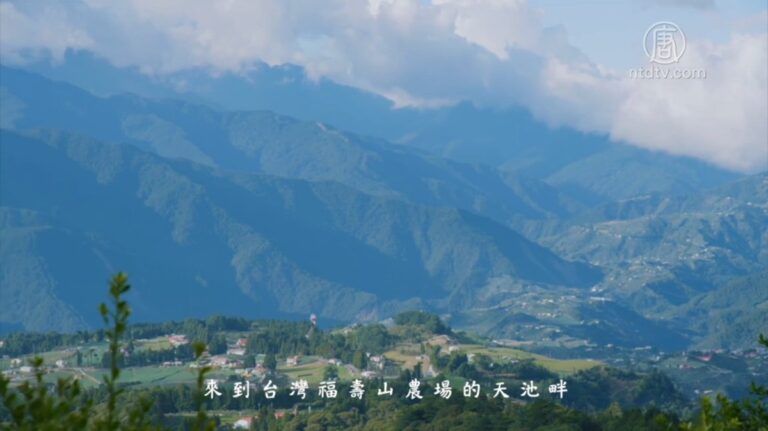 【我的音樂想想】過隙白光映雙池