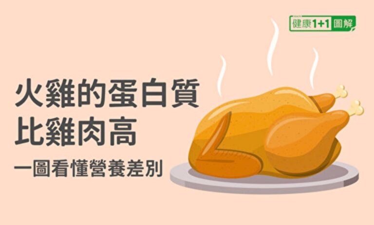 火雞的蛋白質比雞肉還高 一圖看懂營養差別